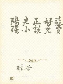 阳光正好苏玥马强小说免费阅读