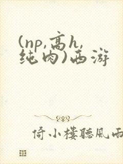 (np,高h,纯肉)西游