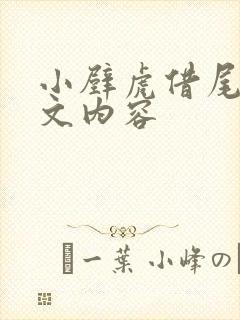 小壁虎借尾巴原文内容封面