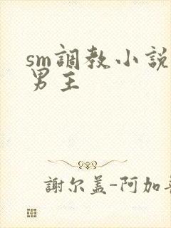 sm调教小说双男主