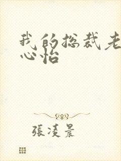 我的总裁老婆杨心怡