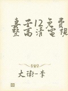 妻子12免费完整高清电视剧在线观看封面