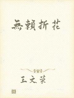 无赖折花封面