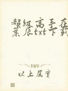 超级高手在都市叶辰txt下载封面