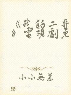 《我的二哥二嫂》电视剧免费观看封面