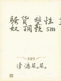 骚货 双性 主奴 调教 sm封面