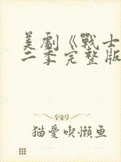 美剧《战士》第二季完整版在线观看