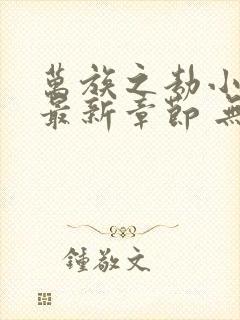 万族之劫小说 最新章节 无弹窗