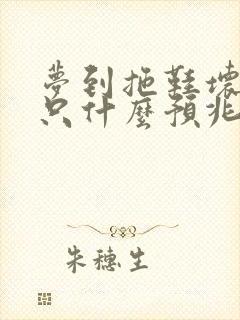 梦到拖鞋坏了一只什么预兆封面