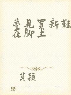 梦见买新鞋子穿在脚上