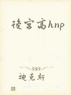 后宫高hnp