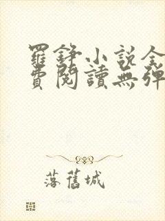 罗铮小说全文免费阅读无弹窗