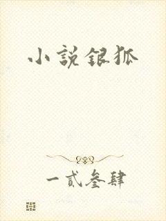 小说银狐
