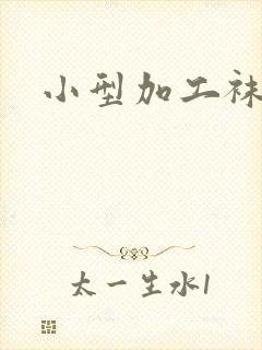 小型加工袜子厂