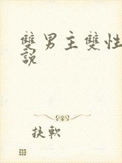双男主双性受小说