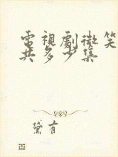 电视剧微笑妈妈共多少集