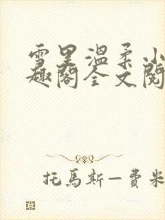 雪里温柔小说笔趣阁全文阅读