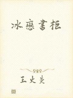 冰恋书柜封面