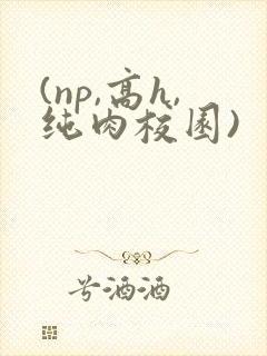 (np,高h,纯肉校园)
