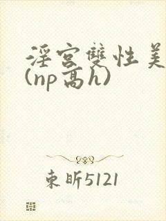 淫宫双性美人录(np高h)