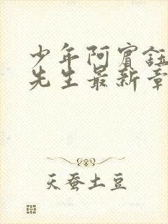 少年阿宾钰慧胡先生最新章节更新内