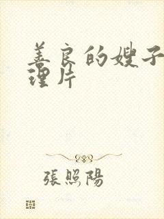 善良的嫂子2伦理片封面