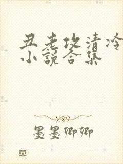 丑老攻清冷美人小说合集