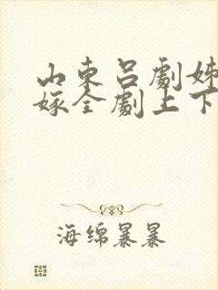 山东吕剧姊妹易嫁全剧上下集封面