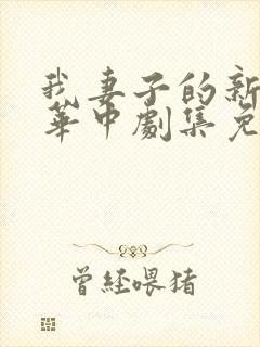 我妻子的新妈妈华中剧集免费观看