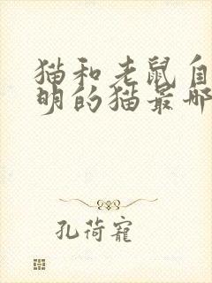 猫和老鼠自作聪明的猫最哪一集封面