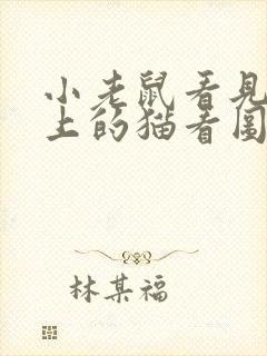 小老鼠看见电脑上的猫看图写话封面