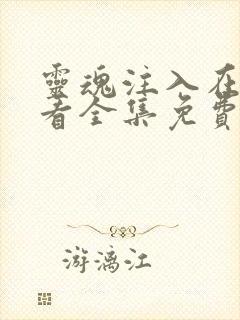 灵魂注入在线观看全集免费观看