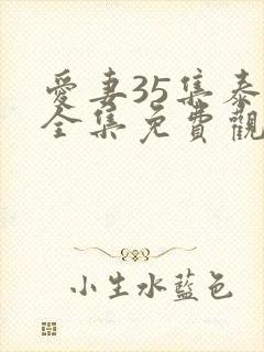 爱妻35集泰剧全集免费观看国语版