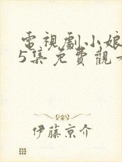 电视剧小娘惹45集免费观看大结局剧情