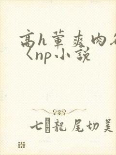 高h荤爽肉欲文〈np小说封面