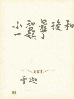 小智最后和谁在一起了