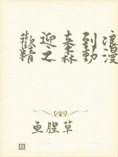 欢迎来到浪荡妖精之森动漫免费观看