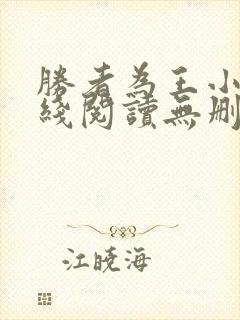 胜者为王小说在线阅读无删减