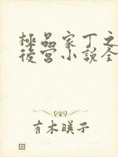 极品家丁之风流后宫小说全文阅读