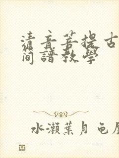 清音菩提古筝曲简谱教学