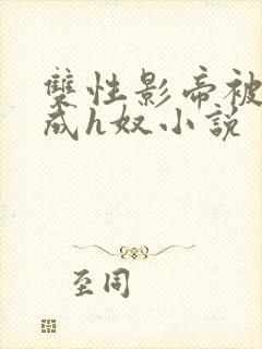双性影帝被调教成h奴小说封面