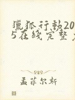 猎狐行动2025在线完整免费观看高清