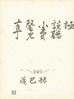 有声小说极品家丁免费听