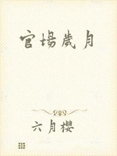 官场岁月