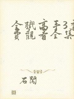 全职高手3季免费观看全集