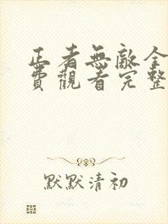 正者无敌全集免费观看完整版高清