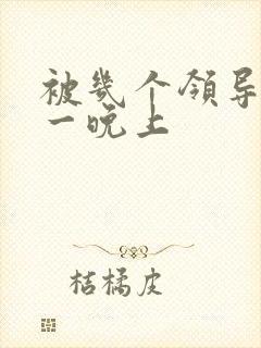 被几个领导玩弄一晚上封面