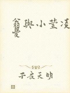 翁与小莹凌晨欢爱