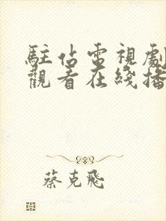 驻站电视剧免费观看在线播放封面