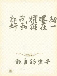 许我耀眼结局许妍和谁在一起了封面